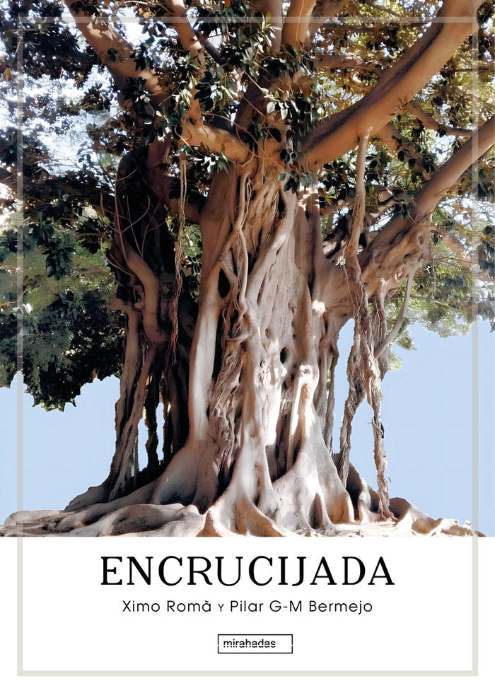 Encrucijada, de G M BERMEJO,PILAR | portada del libro