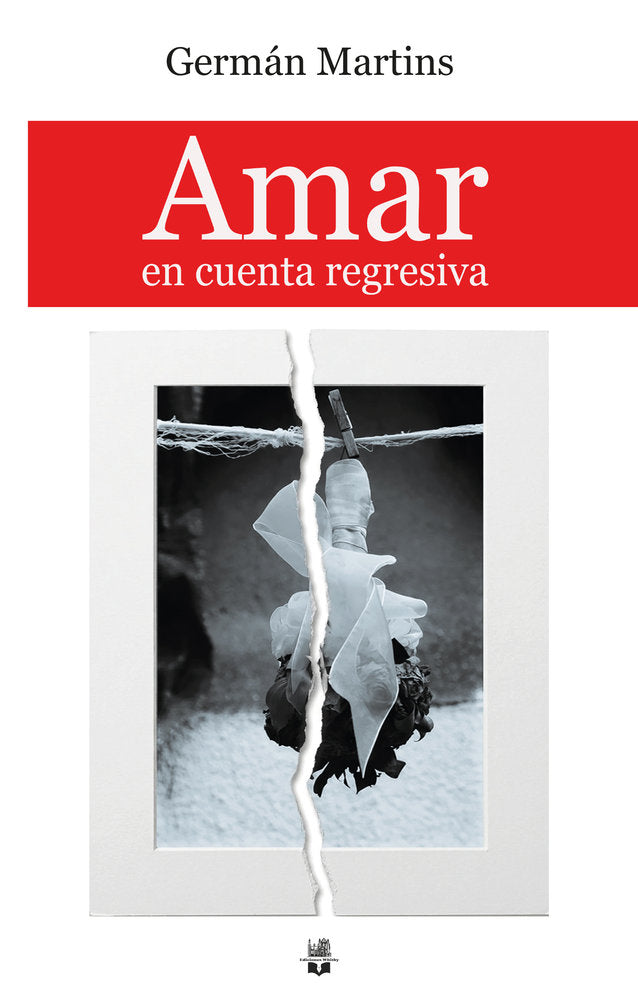 Amar en cuenta regresiva, de Martins, Germán | portada del libro