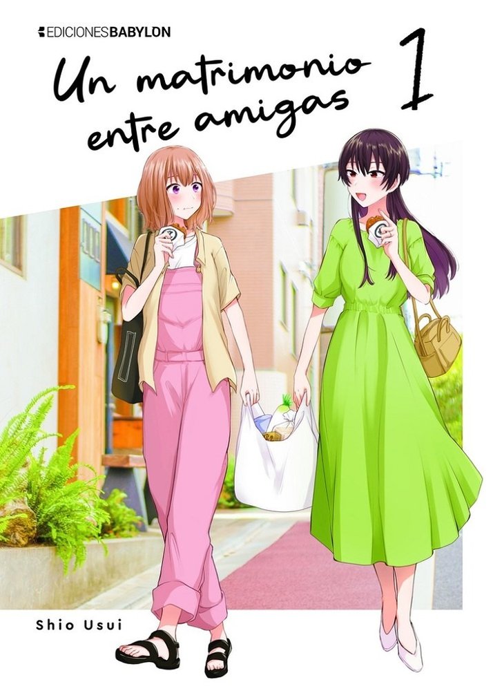 UN MATRIMONIO ENTRE AMIGAS 1 | portada del libro