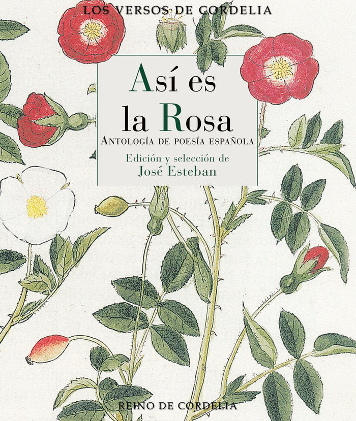 Asi es la rosa, de Esteban, Jose | portada del libro