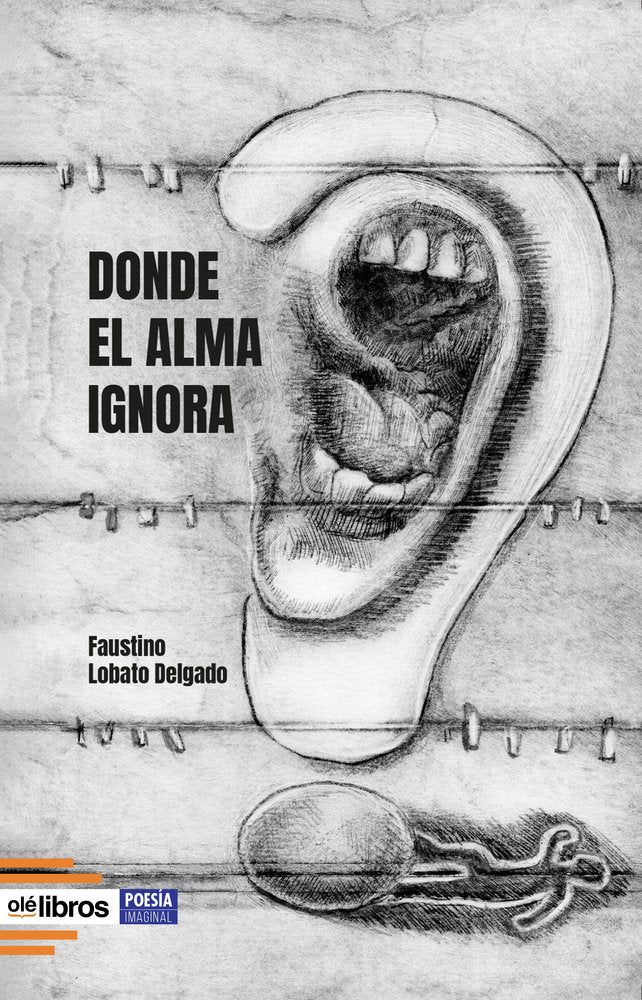 Donde el alma ignora, de Lobato Delgado, Faustino | portada del libro