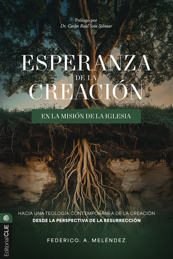 Resurrección: Esperanza de la creación en la misión Iglesia, de Meléndez, Federico | portada del libro