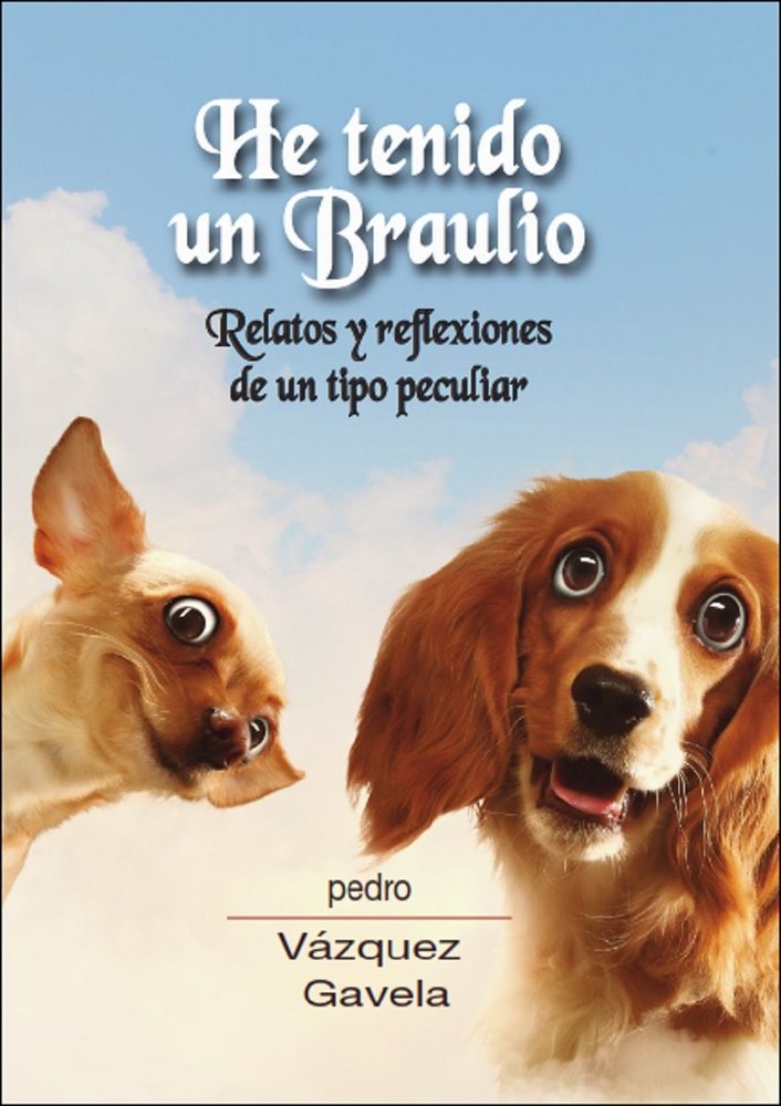 HE TENIDO UN BRAULIO, de VAZQUEZ GAVELA, PEDRO | portada del libro