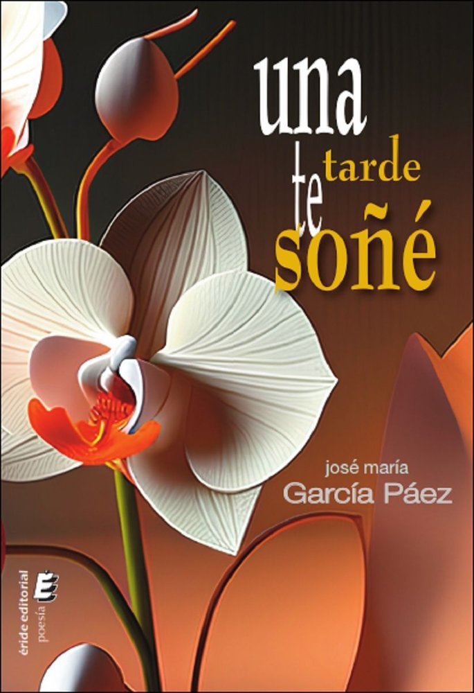 UNA TARDE TE SOÑE, de JOSE MARAI GARCIA PAEZ | portada del libro