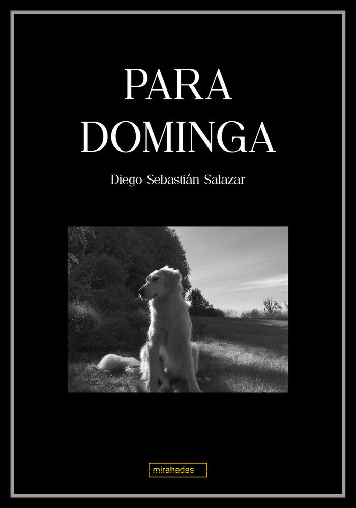 Para Dominga, de SEBASTIAN SALAZAR , DIEGO | portada del libro