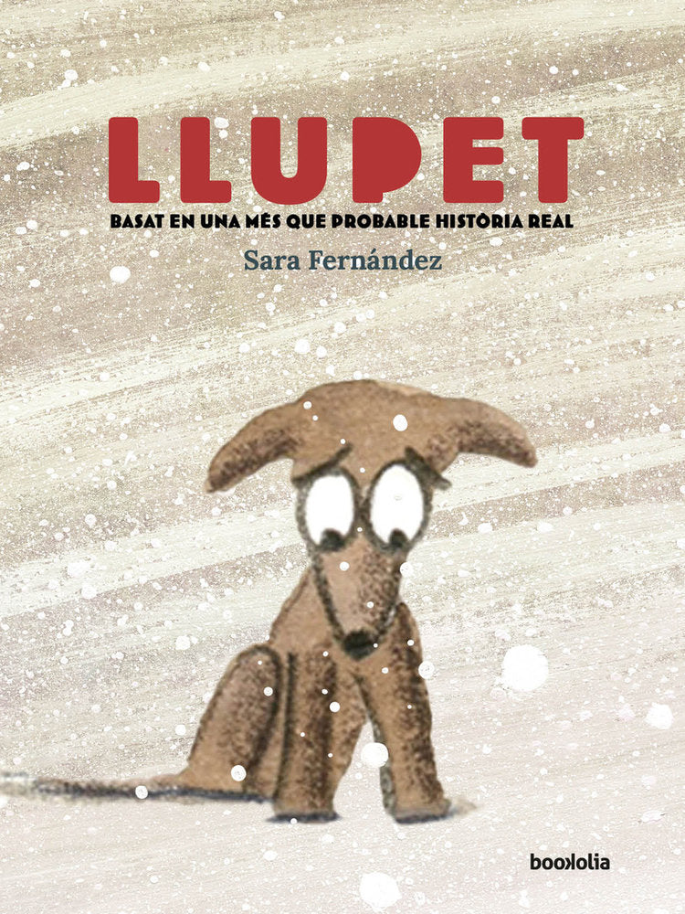 Llupet, de FERNANDEZ SAINZ,SARA | portada del libro