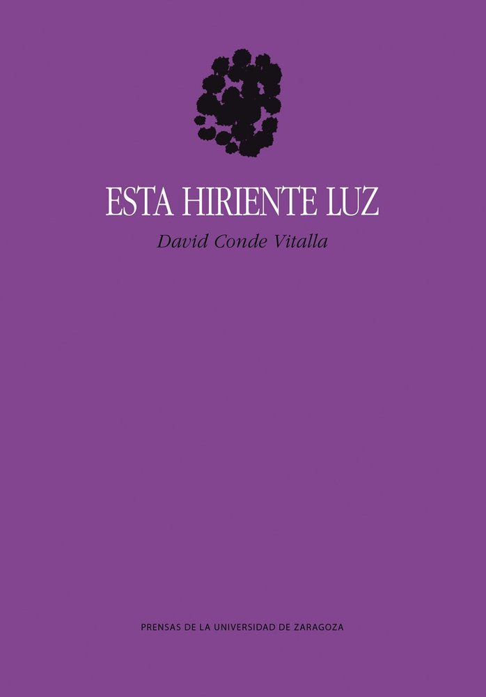 ESTA HIRIENTE LUZ, de CONDE VITALLA, DAVID | portada del libro