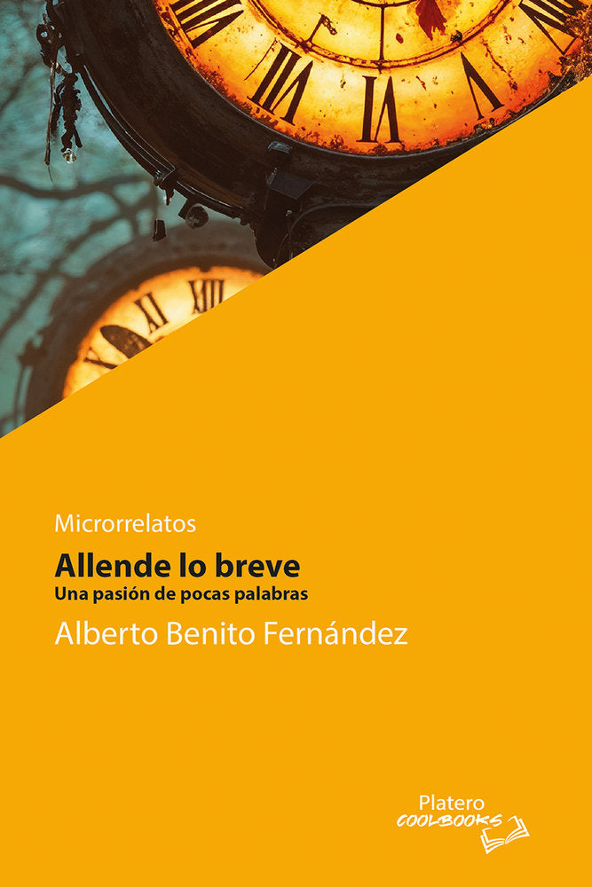 ALLENDE LO BREVE, de FERNÁNDEZ, ALBERTO BENITO | portada del libro