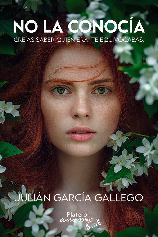 No la conocía, de GARCÍA GALLEGO, JULIÁN | portada del libro