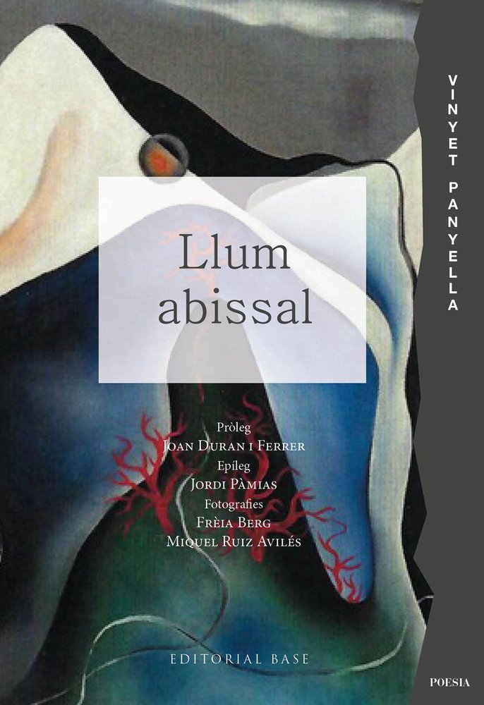 Llum abissal, de VINYET PANYELLA | portada del libro