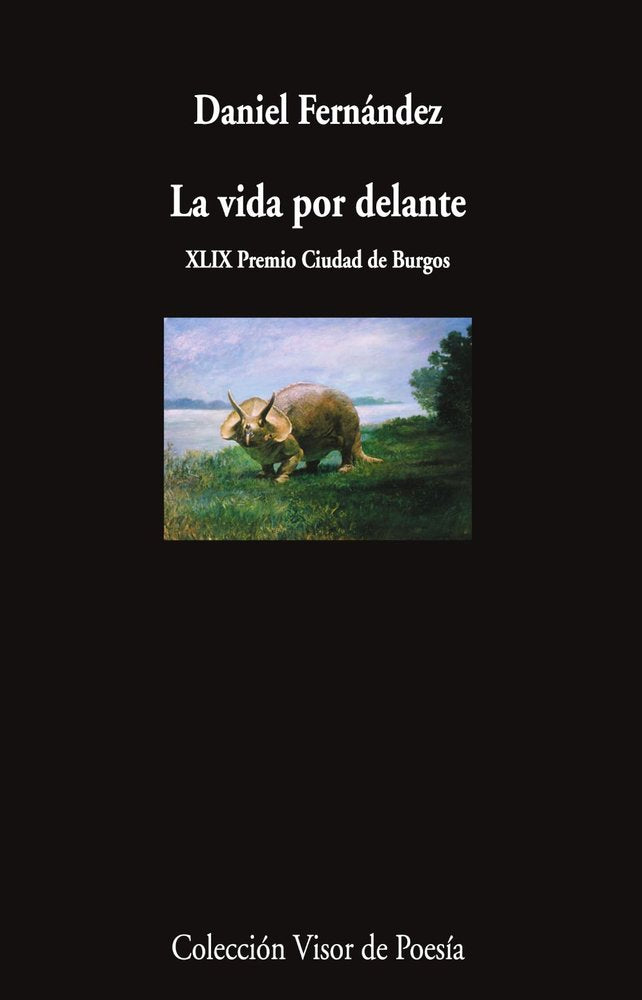 LA VIDA POR DELANTE, de FERNANDEZ, DANIEL | portada del libro