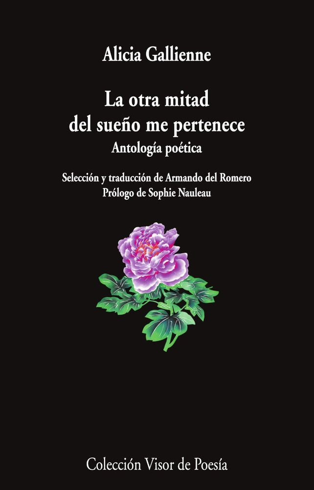 LA OTRA MITAD DEL SUEÑO ME PERTENECE, de GALLIENE, ALICIA | portada del libro