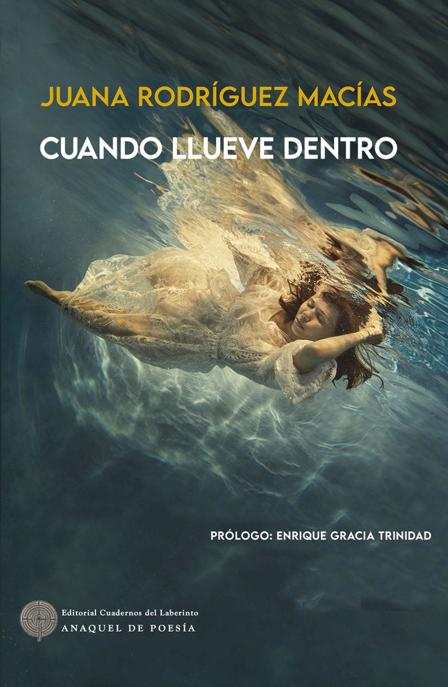 CUANDO LLUEVE DENTRO, de RODRIGUEZ MACIAS | portada del libro