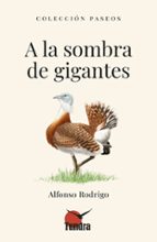 A LA SOMBRA DE GIGANTES, de Carles Rodrigo Alfonso | portada del libro