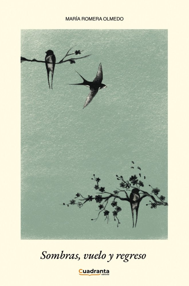 Sombras, vuelo y regreso, de , Romera Olmedo, María | portada del libro