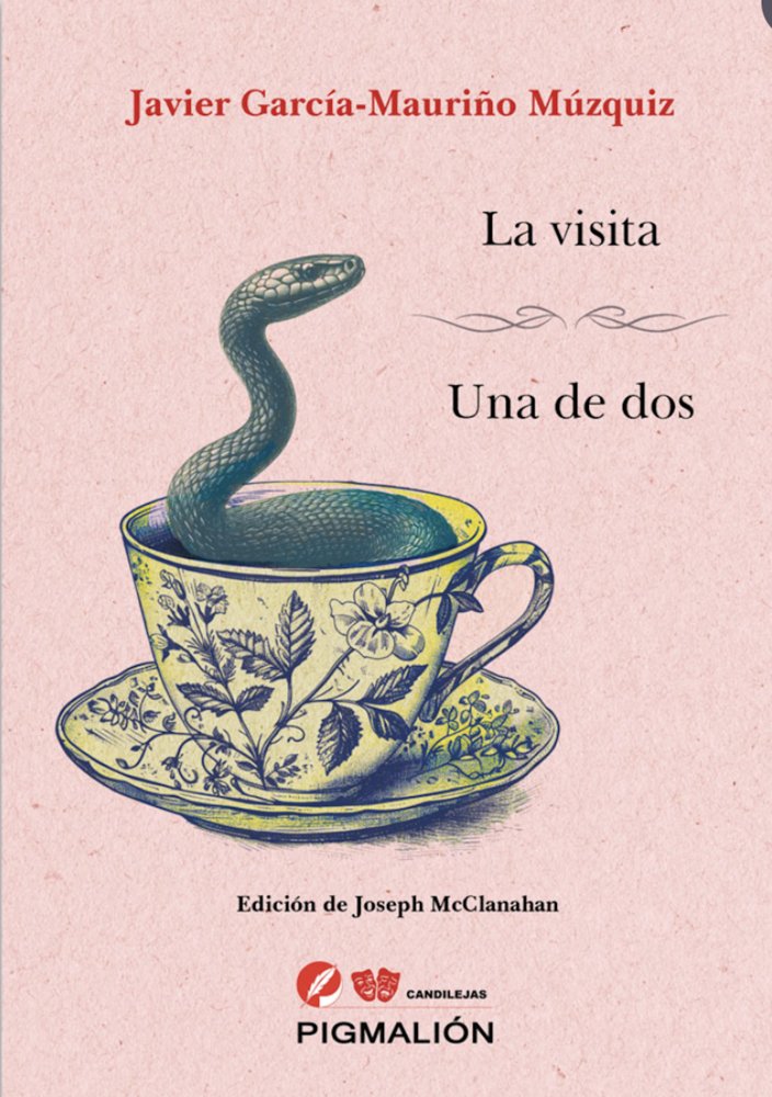 LA VISITA. UNA DE DOS, de García-Mauriño Múzquiz, Javier | portada del libro