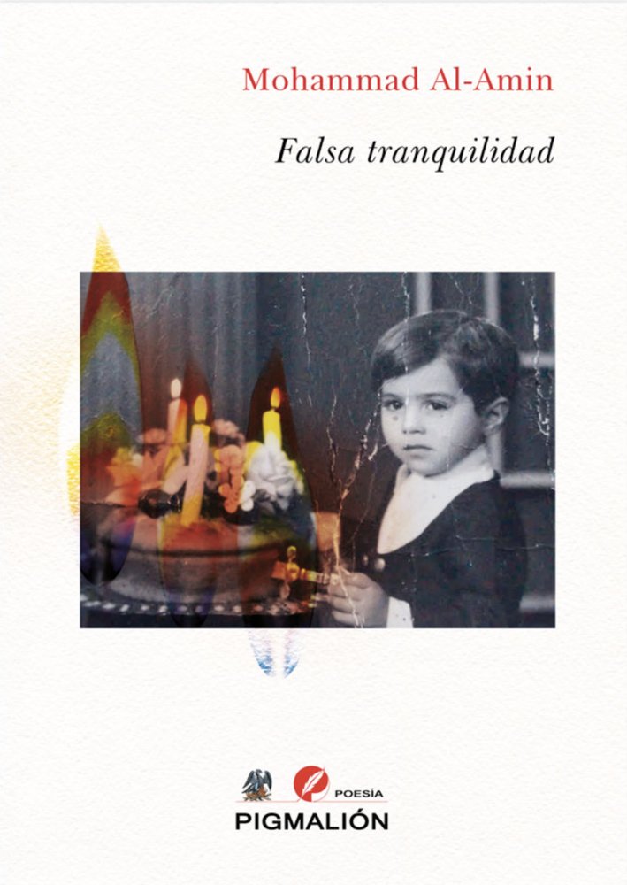 FALSA TRANQUILIDAD, de Al-Amin, Mohammad | portada del libro