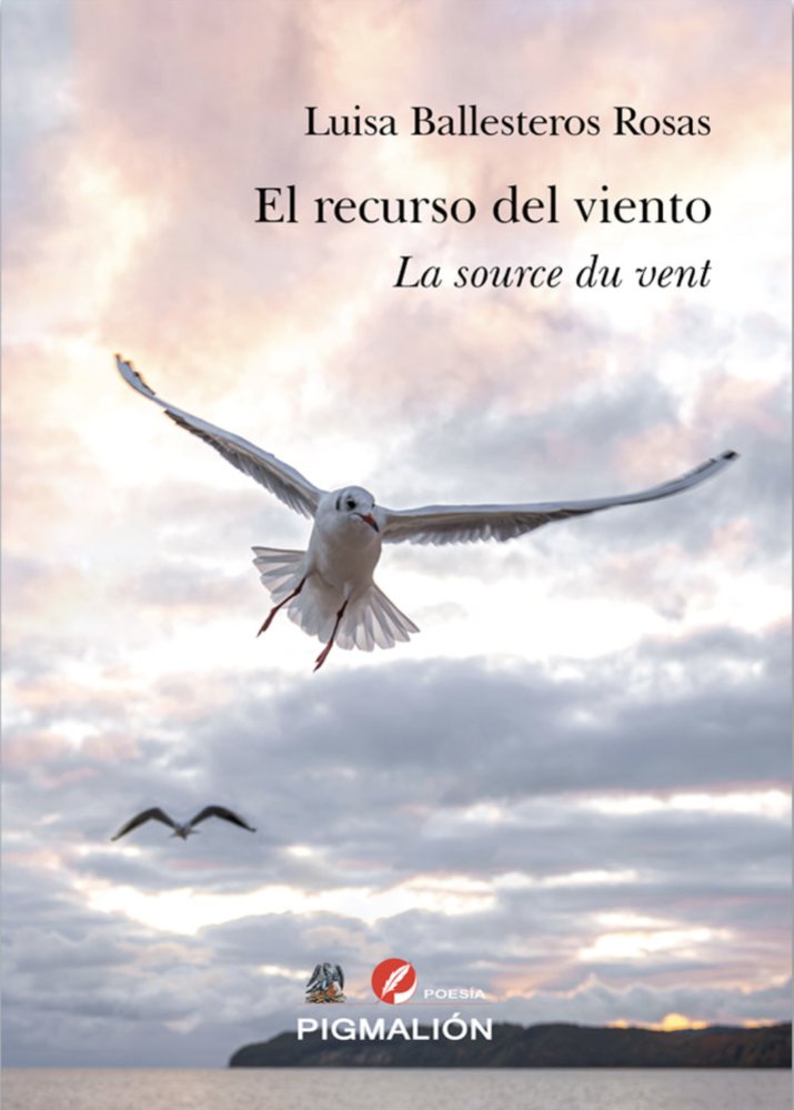 EL RECURSO DEL VIENTO / LA SOURCE DU VENT, de Ballesteros Rosas, Luisa | portada del libro