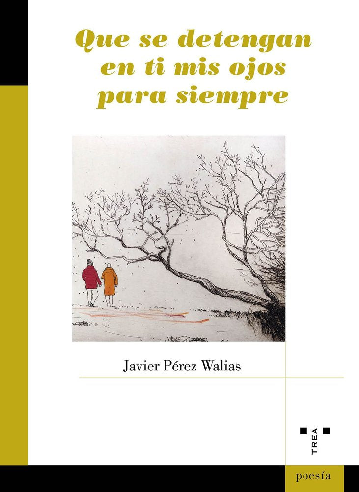 QUE SE DETENGAN EN TI MIS OJOS PARA SIEMPRE, de Pérez Walias, Javier | portada del libro