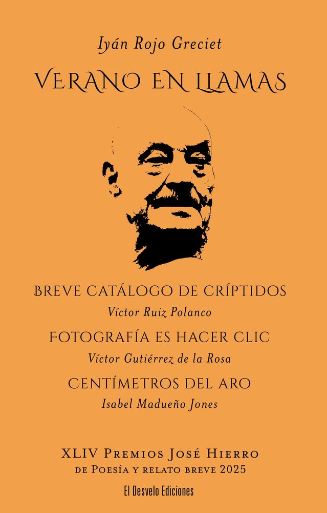 VERANO EN LLAMAS XLIV PREMIOS JOSE HIERRO DE POESIA Y RELATO | portada del libro