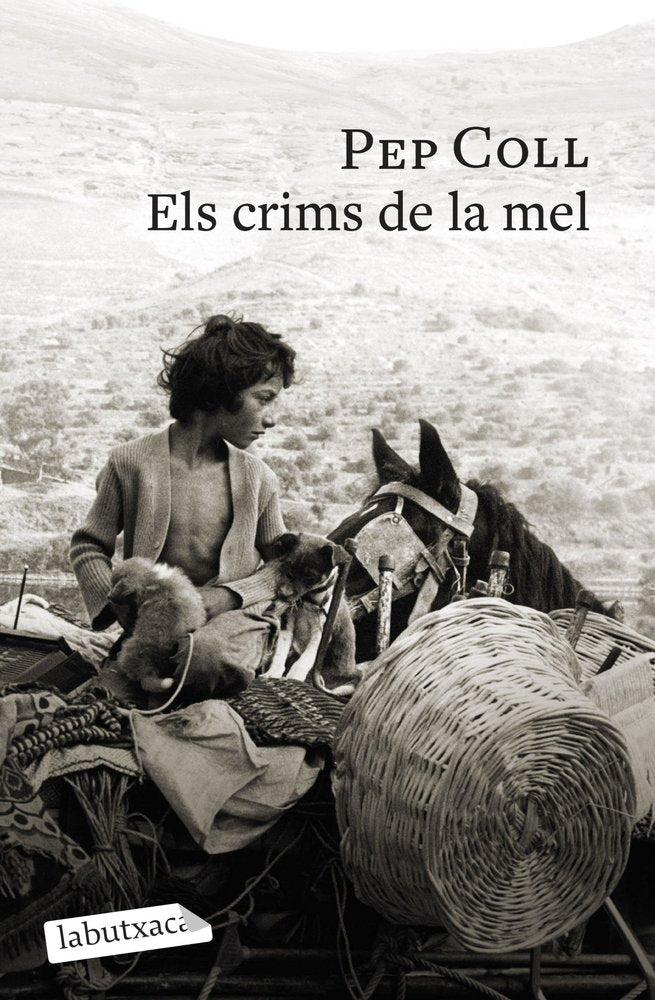 ELS CRIMS DE LA MEL, de COLL, PEP | portada del libro