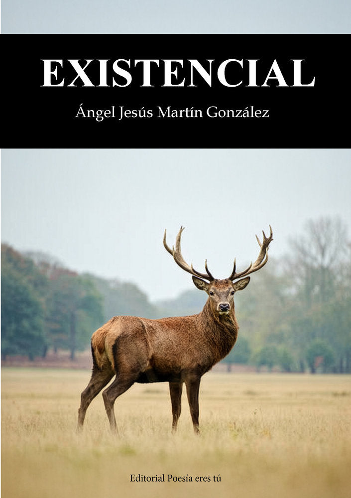 EXISTENCIAL, de Martín González, Ángel Jesús | portada del libro