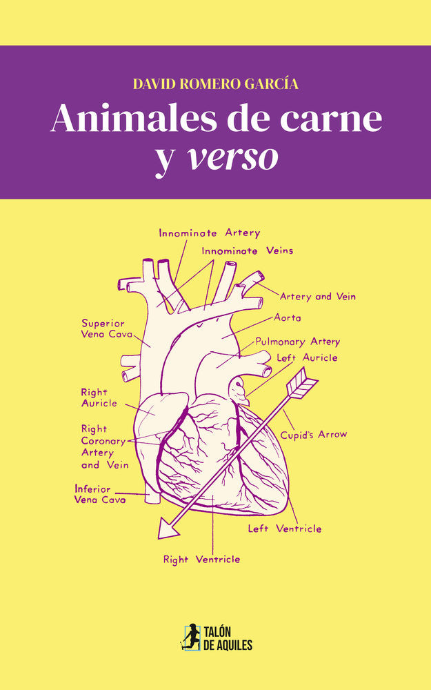 Animales de carne y verso, de , Romero García, David | portada del libro
