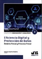 EFICIENCIA DIGITAL Y PROTECCION DE DATOS., de ROSA PEREZ MARTELL | portada del libro