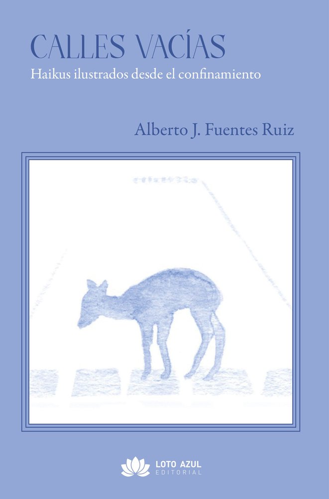 Calles vacías, de J. Fuentes Ruiz, Alberto | portada del libro