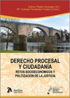 DERECHO PROCESAL Y CIUDADANIA RETOS SOCIOECONOMICOS Y POLIT, de ESTHER PILLADO GONZALEZ | portada del libro