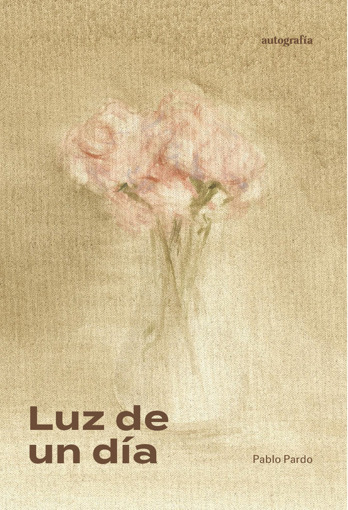 Luz de un día, de Pardo, Pablo | portada del libro