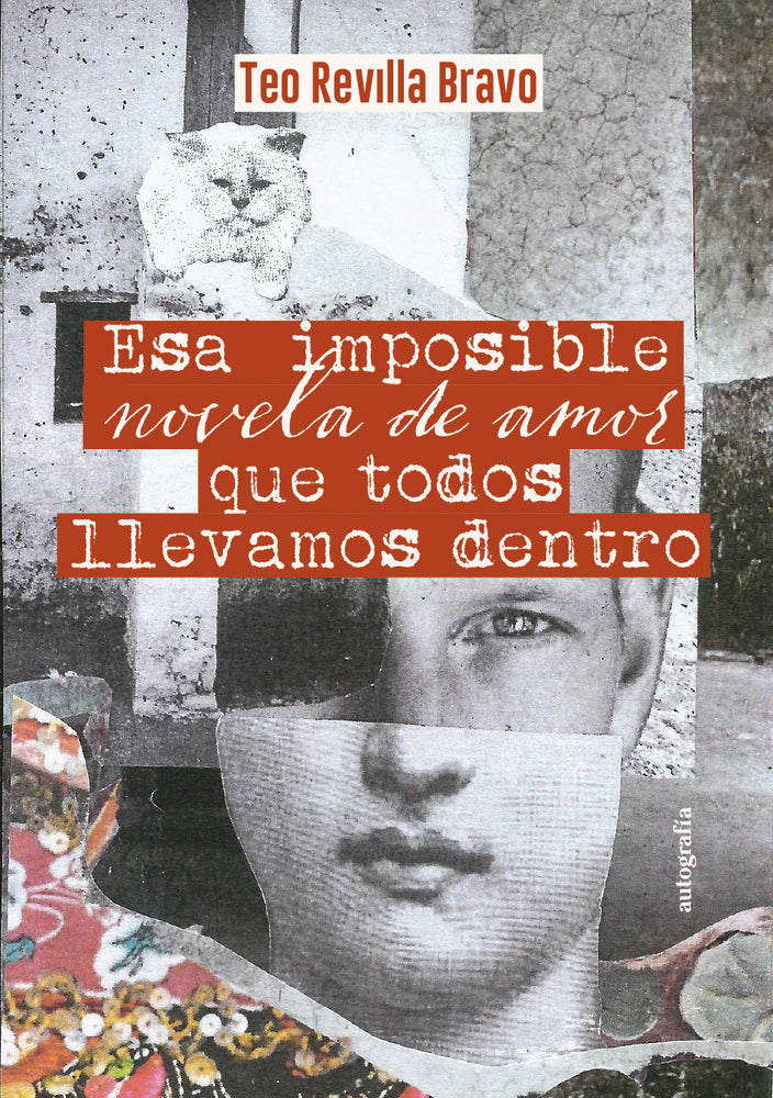 Esa imposible novela de amor que todos llevamos dentro, de Revilla Bravo, Teo | portada del libro