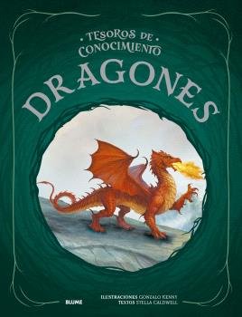 DRAGONES -TESOROS CONOCIMIENTO, de GONZALO KENNY | portada del libro