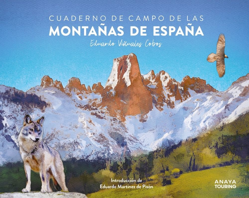 CUADERNO DE CAMPO DE LAS MONTAÑAS DE ESPAÑA, de VIÑUALES COBOS, EDUARDO | portada del libro