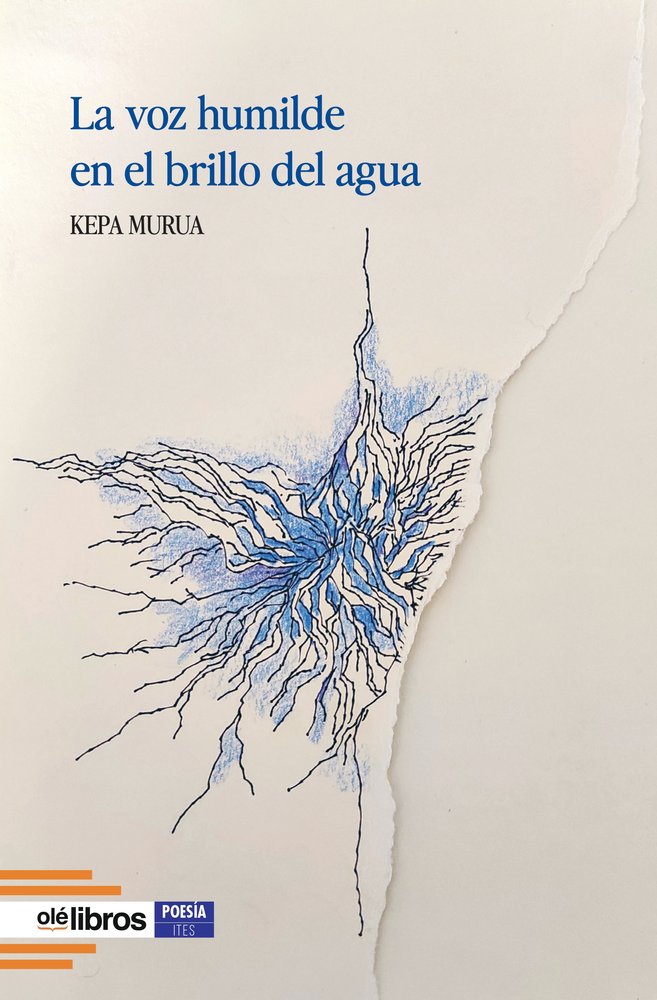 La voz humilde en el brillo del agua, de Murua, Kepa | portada del libro