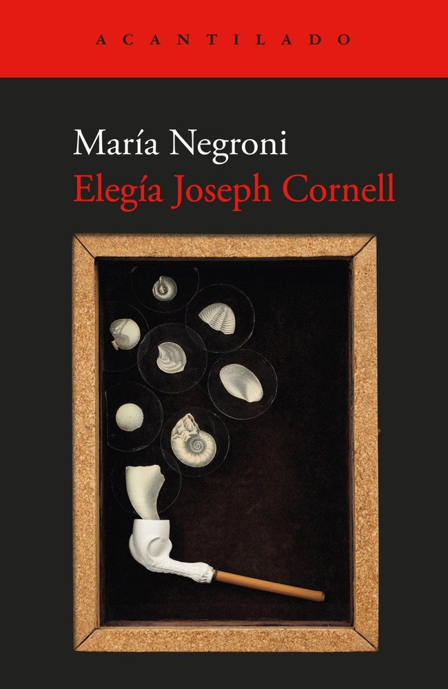 ELEGIA JOSEPH CORNELL, de NEGRONI, MARIA | portada del libro