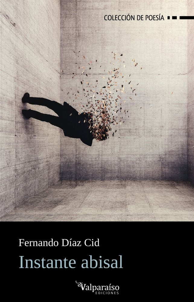INSTANTE ABISAL, de DIAZ CID,FERNANDO | portada del libro