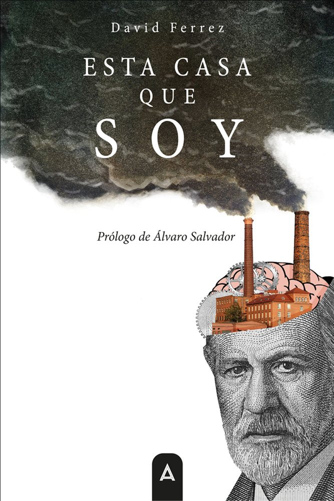 Esta casa que soy, de , Ferrez, David | portada del libro