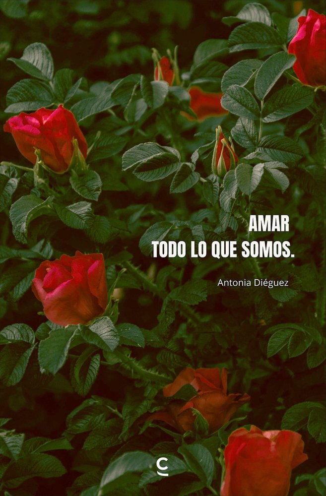 Amar todo lo que somos, de , Diéguez, Antonia | portada del libro