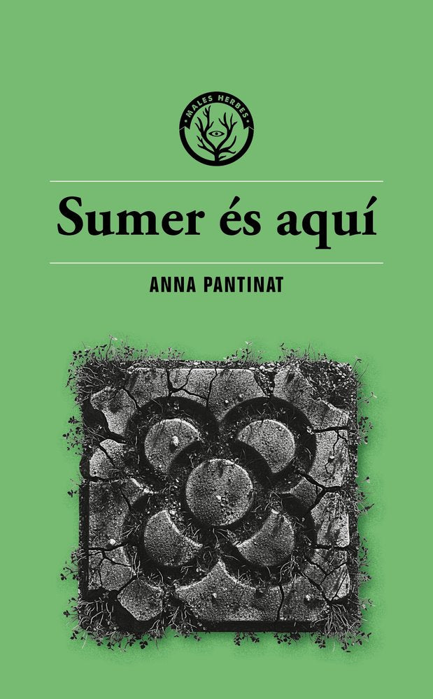 📗 Libro en catalán
SUMER ES AQUÍ, de ANNA PANTINAT | portada del libro