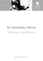 En bandada, libres, de RODRIGUEZ | portada del libro