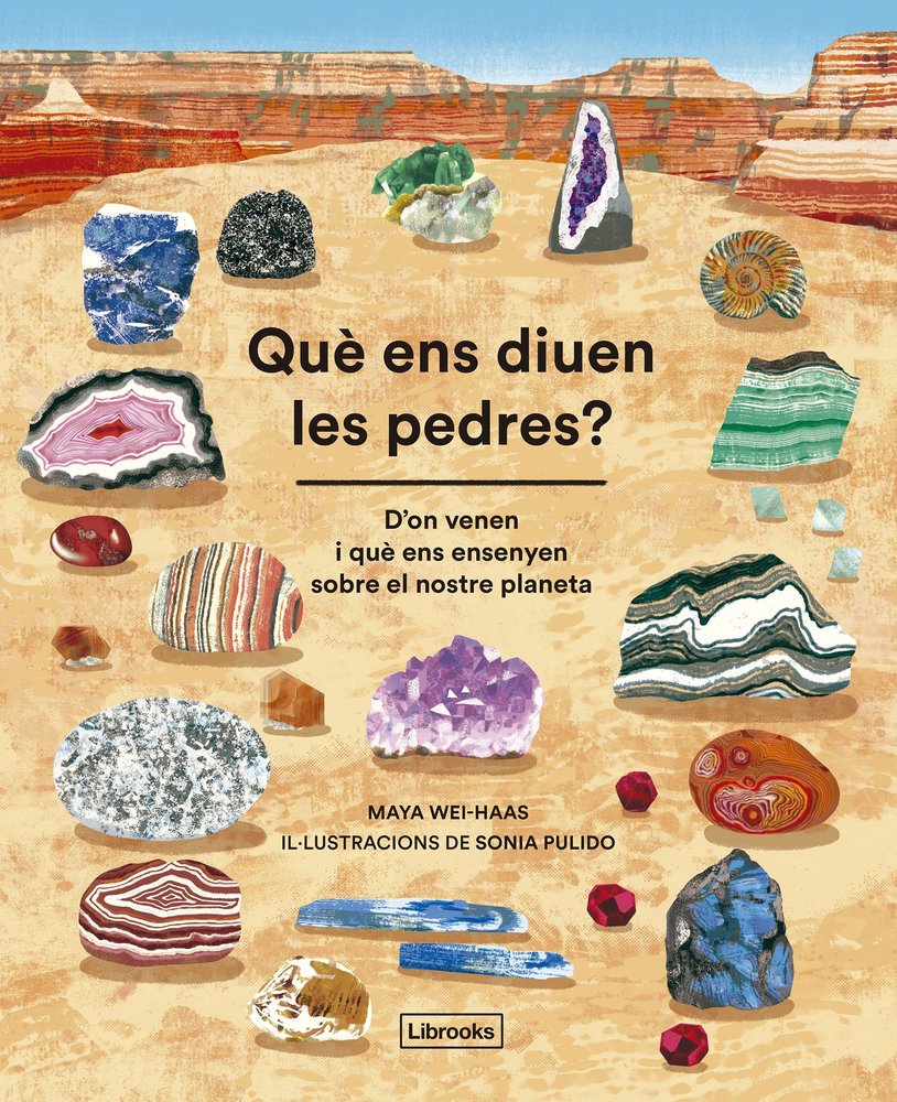 QUE ENS DIUEN LES PEDRES?, de WEI-HAAS, MAYA | portada del libro