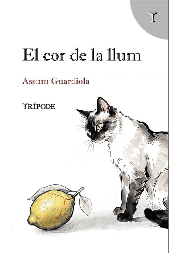 EL COR DE LA LLUM, de GUARDIOLA, ASSUM | portada del libro