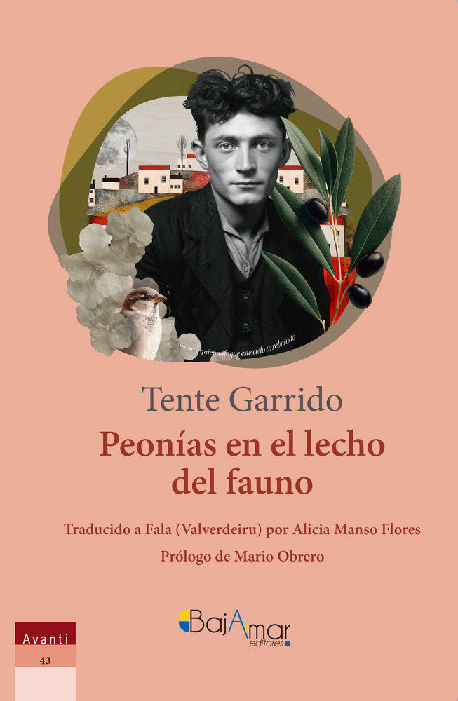 PEONÍAS EN EL LECHO DEL FAUNO, de GARRIDO, TENTE | portada del libro