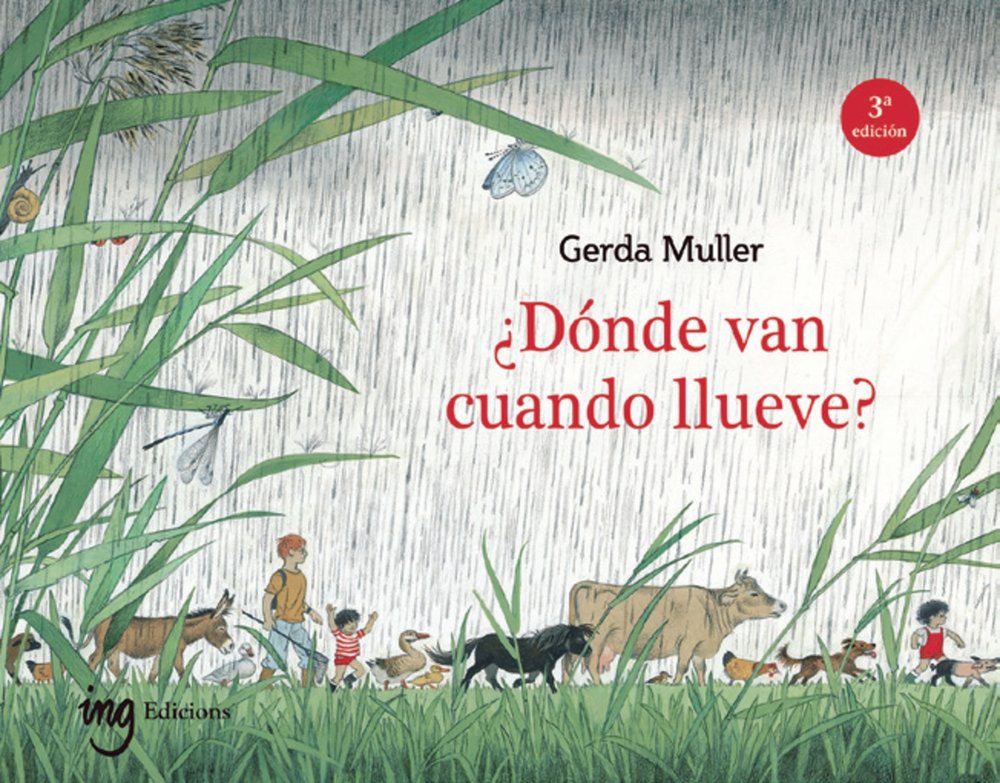 DONDE VAN CUANDO LLUEVE 3 ED, de GERDA MULLER | portada del libro