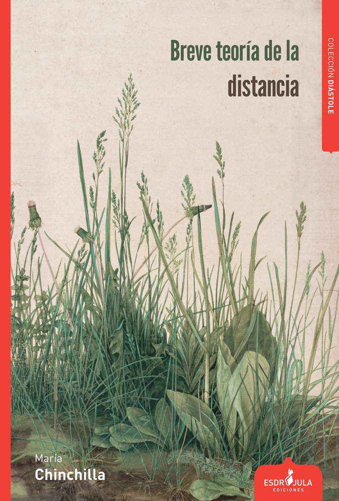 Breve Teoría de la Distancia, de Chinchilla, María | portada del libro