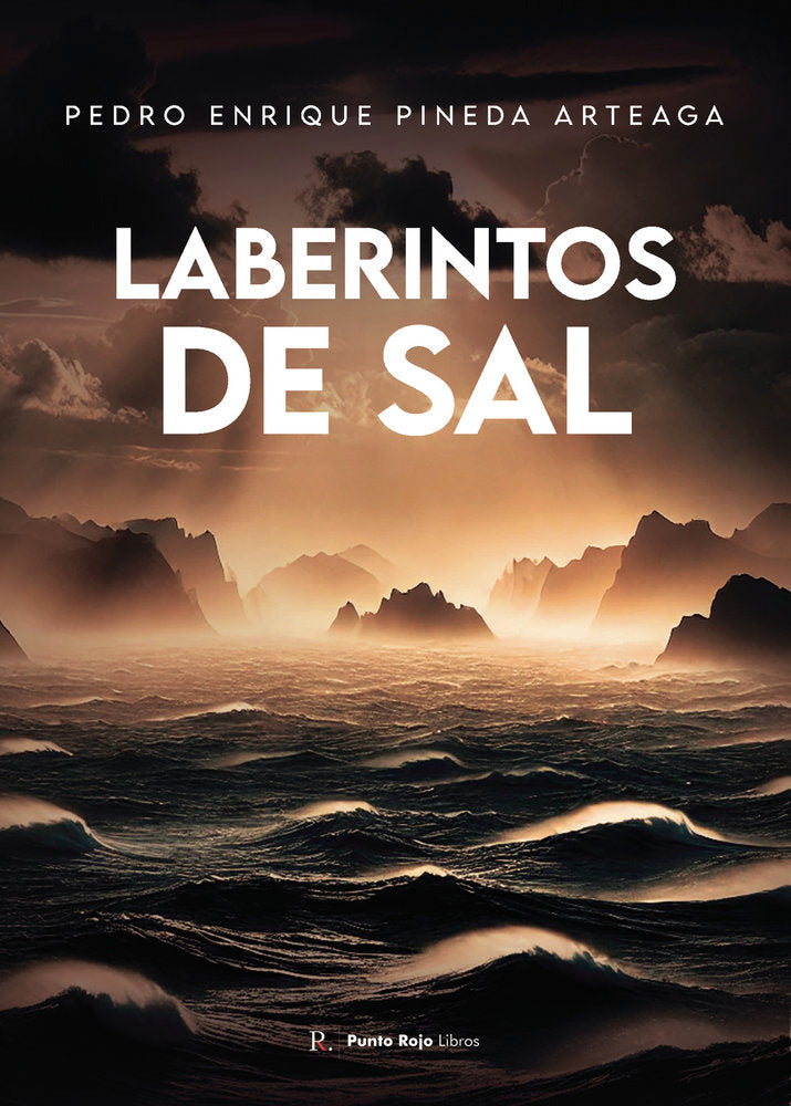 Laberintos de sal, de Pineda Arteaga, Enrique | portada del libro