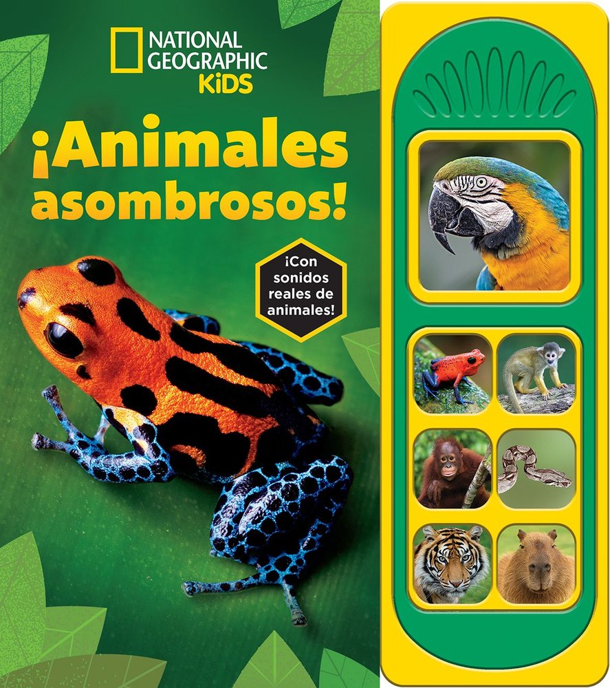 ANIMALES ASOMBROSOS! NATIONAL GEOGRAPHIC KIDS, de NATIONAL GEOGRAPHIC | portada del libro