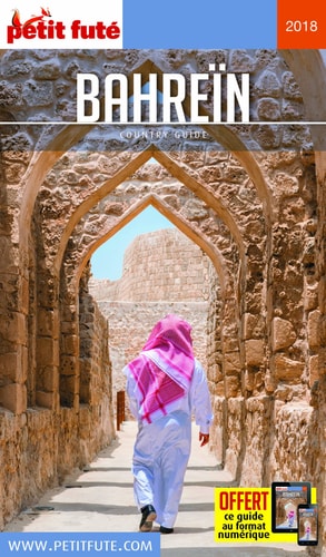 AHREIN 2018 PETIT FUTE+OFFRE NUM, de Petit Futé | portada del libro