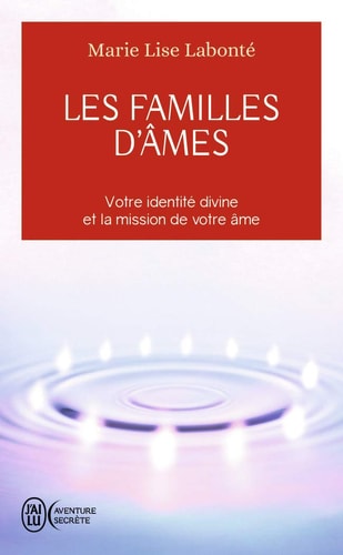 ES FAMILLES D AMES, de Marie-Lise Labonté | portada del libro
